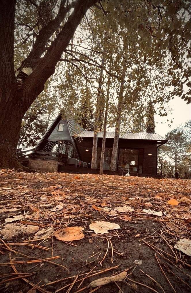 Kuca Za Odmor Vrdnikヴィラ エクステリア 写真